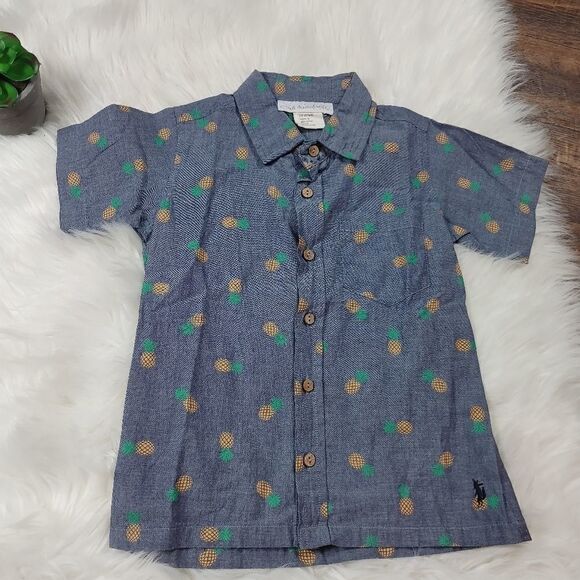 Well Dressed Wolf Boys Size 5 Denim Pineapple Prin - Picture 2 of 7